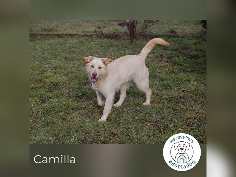 Camilla: Voller Lebensfreude