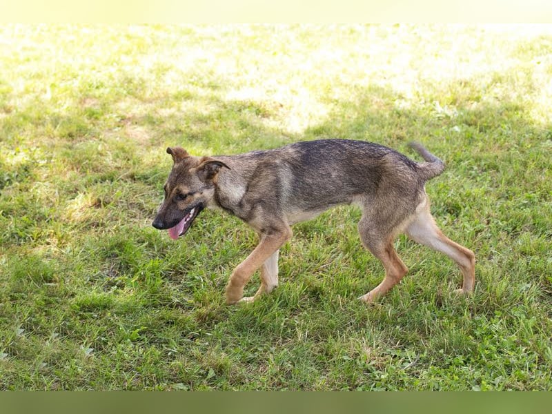 Marlee: Lebensfreude sucht Zuhause