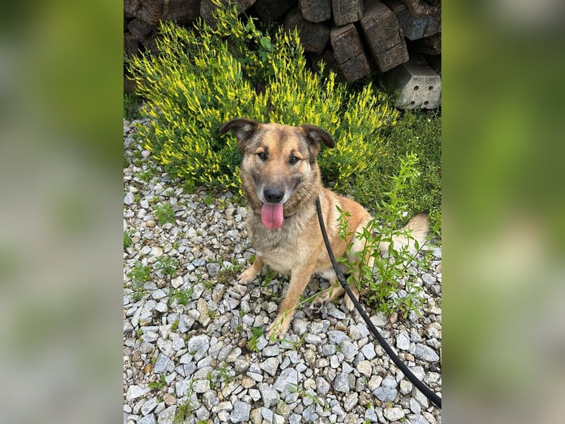 Alex – möchte voll durchstarten