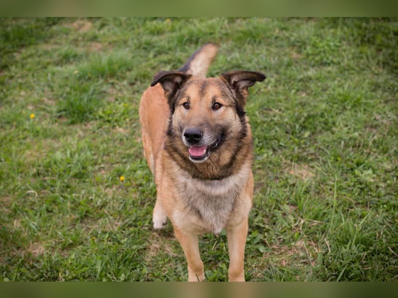 Alex – möchte voll durchstarten