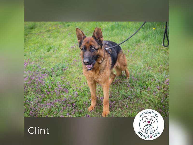 Ich bin Clint: ein Leben in der Warteschleife