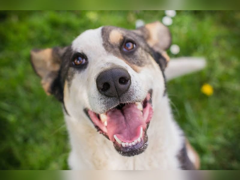 Jim: Sucht ein Abenteuer