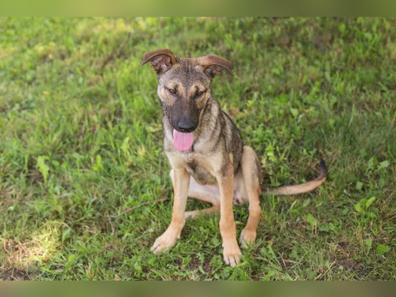 Marlee: Lebensfreude sucht Zuhause