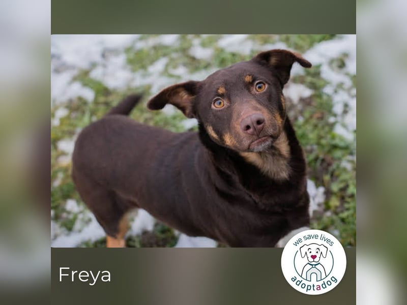 Freya: Junge Mama sucht ihr Glück