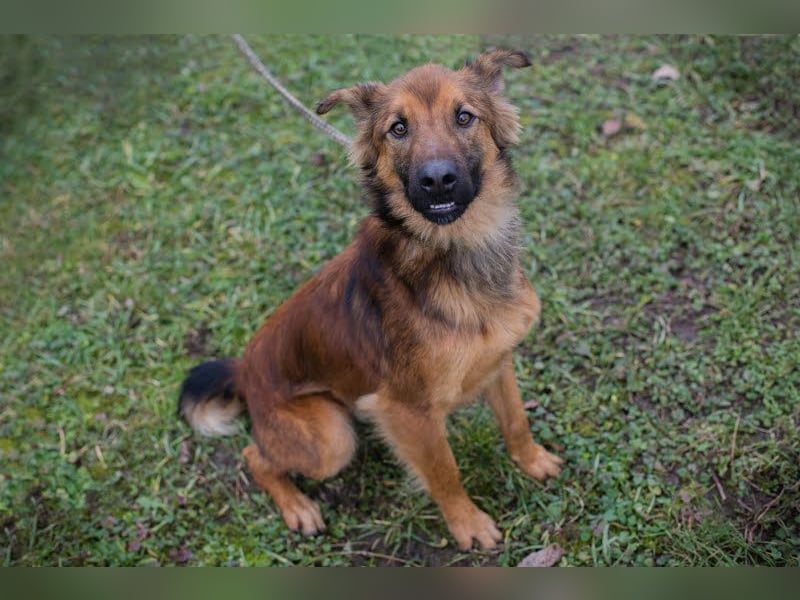 Andreas: Zwischen Stress und Sehnsucht