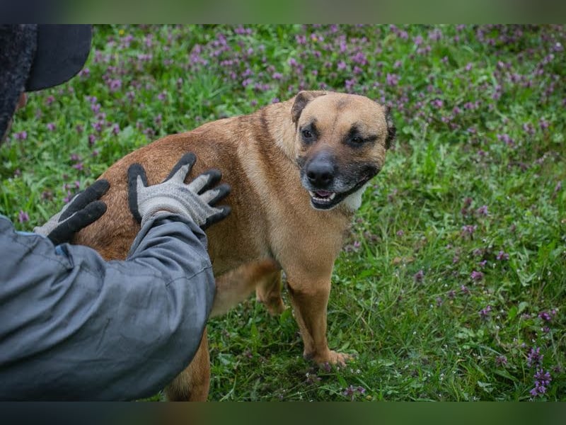 Berta: Bald ganz nah an deinem Herzen?