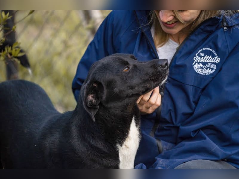 Larry: Sportskanone sucht Gleichgesinnte Larry: Sportskanone sucht Gleichgesinnte