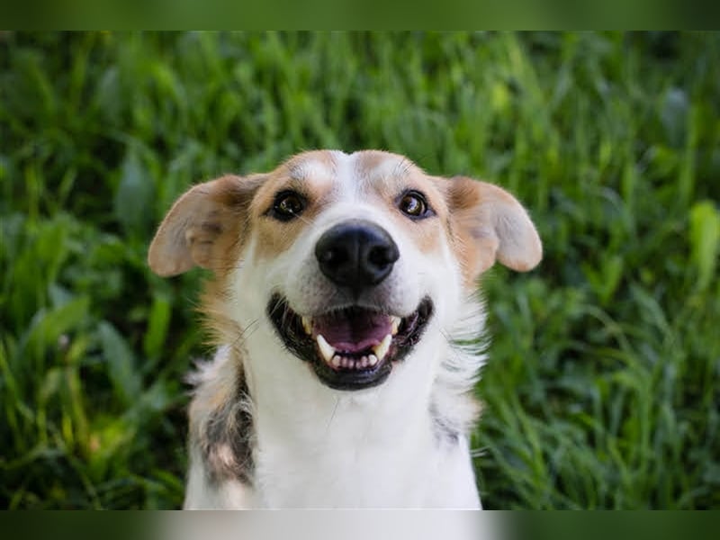 Julie – ein Goldschatz