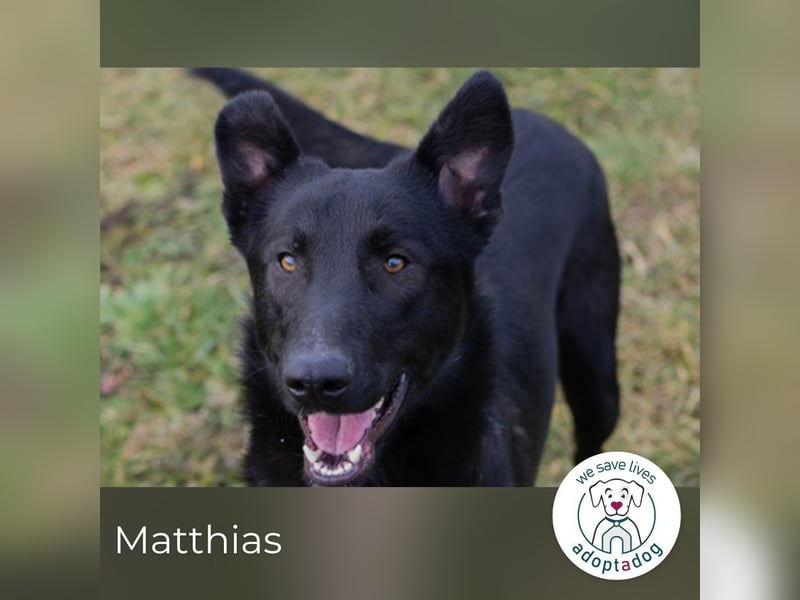 Matthias sucht ein Zuhause