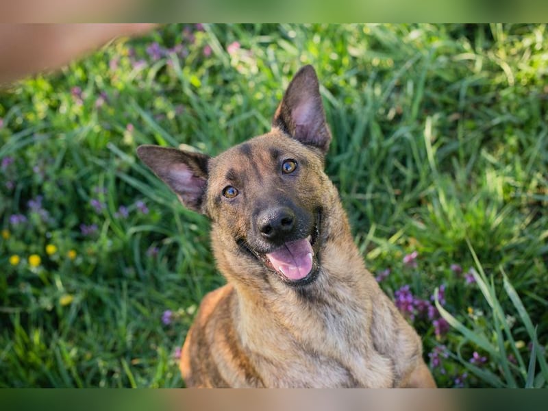 Cassy sucht ein Zuhause