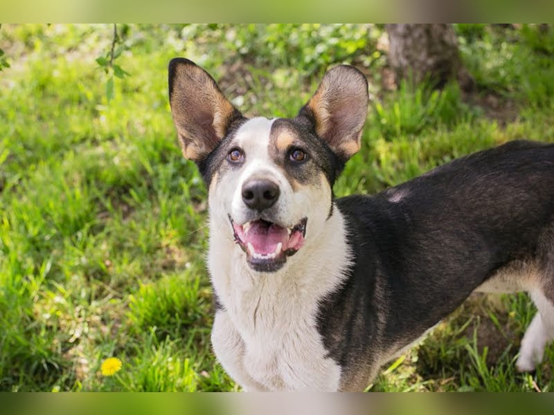 Jim: Sucht ein Abenteuer