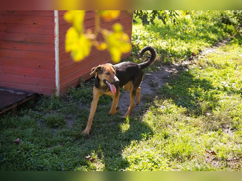 Akascha: Möchte endlich nach Hause!