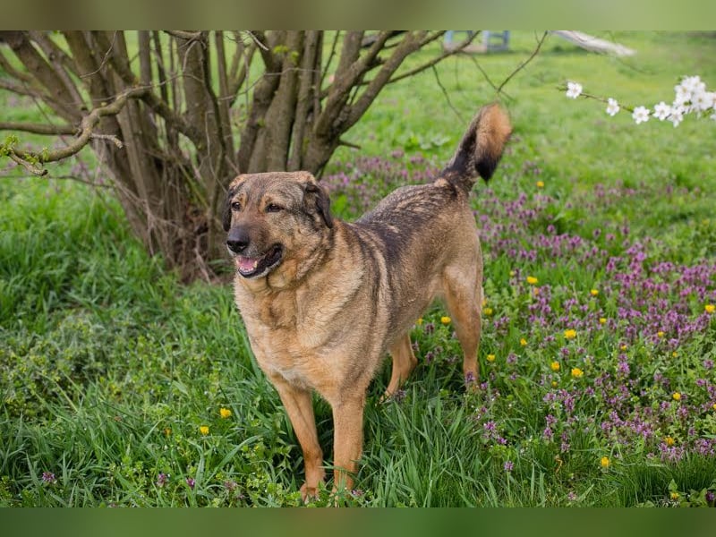 Smiley: Voller Liebe und Hoffnung