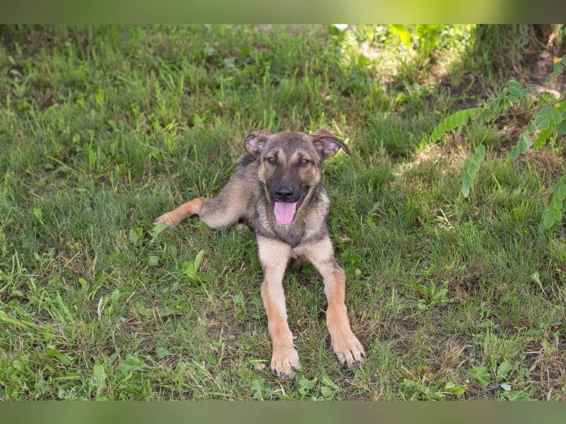 Marlee: Lebensfreude sucht Zuhause