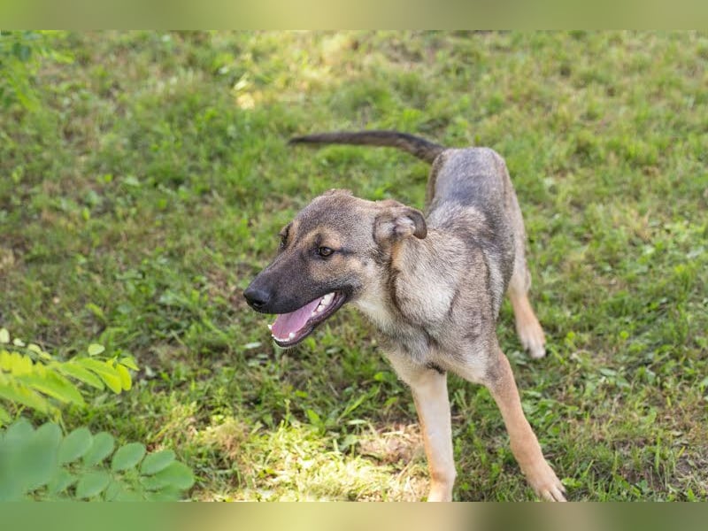 Marlee: Lebensfreude sucht Zuhause