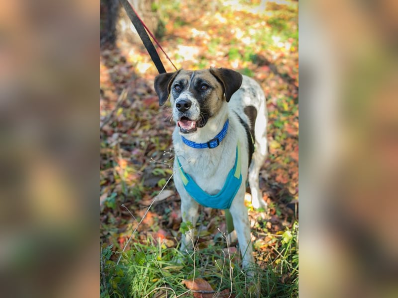 Nada: ein Name, der Hoffnung trägt