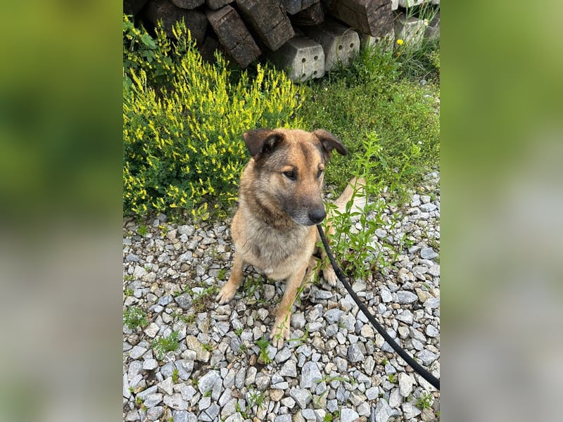 Alex – möchte voll durchstarten