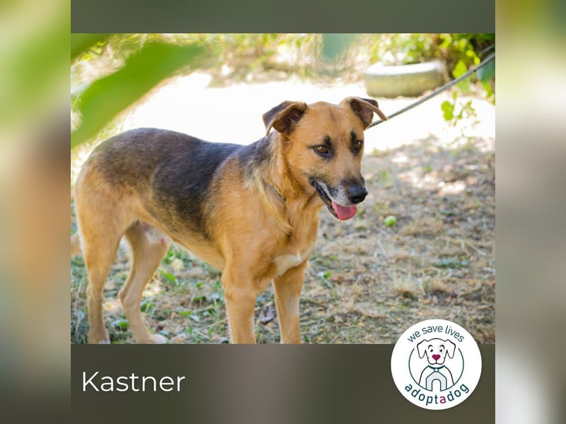 Kastner: Naturfreund mit Köpfchen