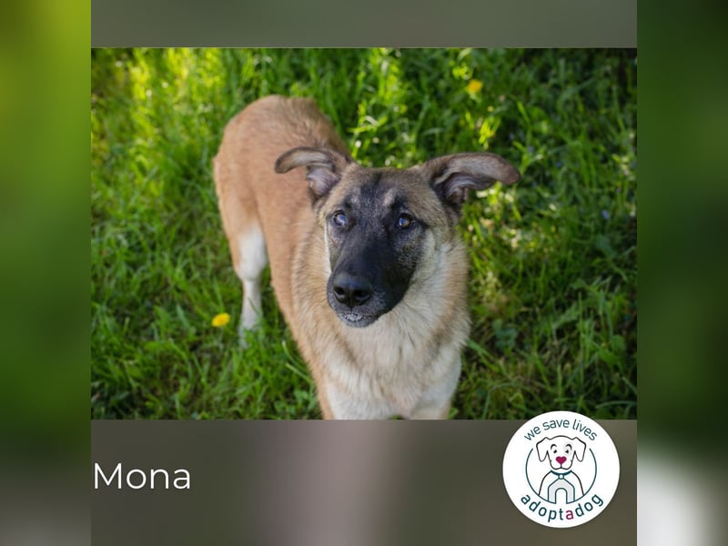 Mona: Tollpatsch mit Herz