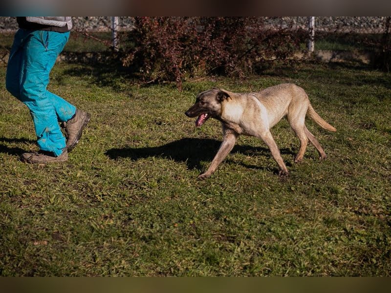 Amelie: Sanftmut trotz Schmerz