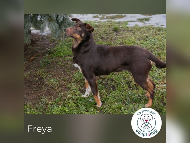 Freya: Junge Mama sucht ihr Glück
