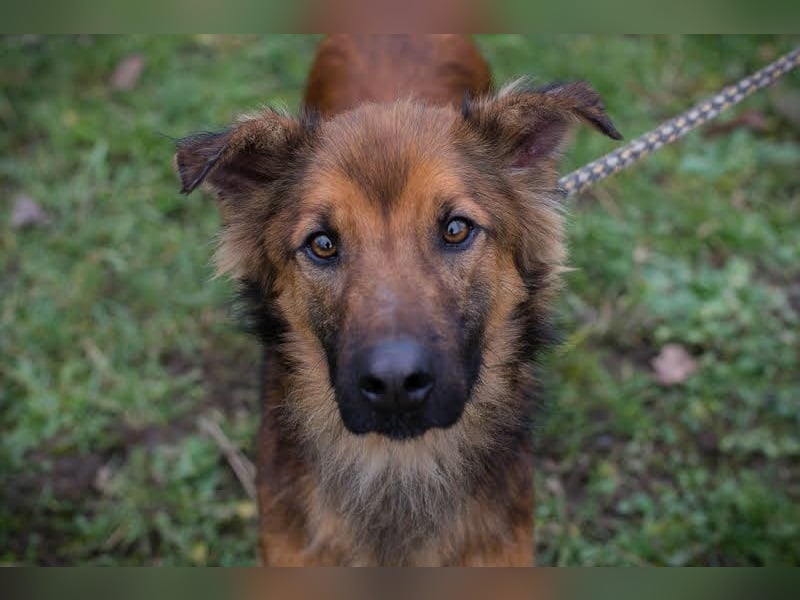 Andreas: Zwischen Stress und Sehnsucht