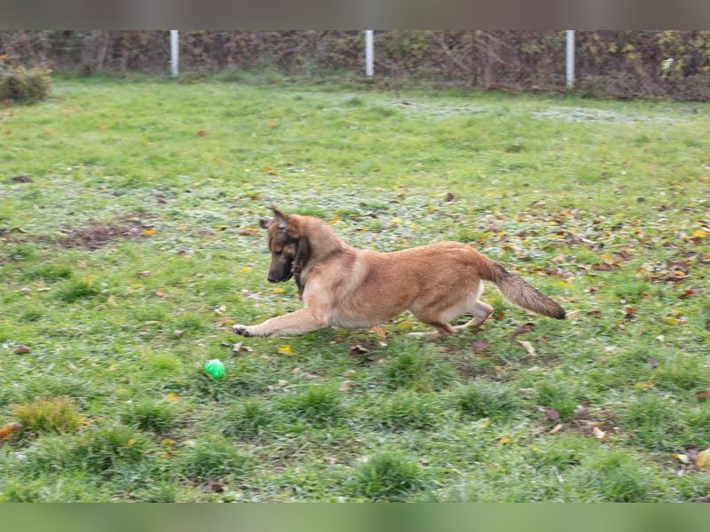 Alex – möchte voll durchstarten