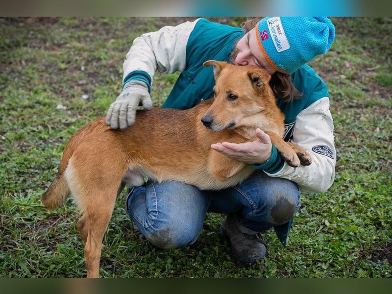 Odin sucht ein Zuhause