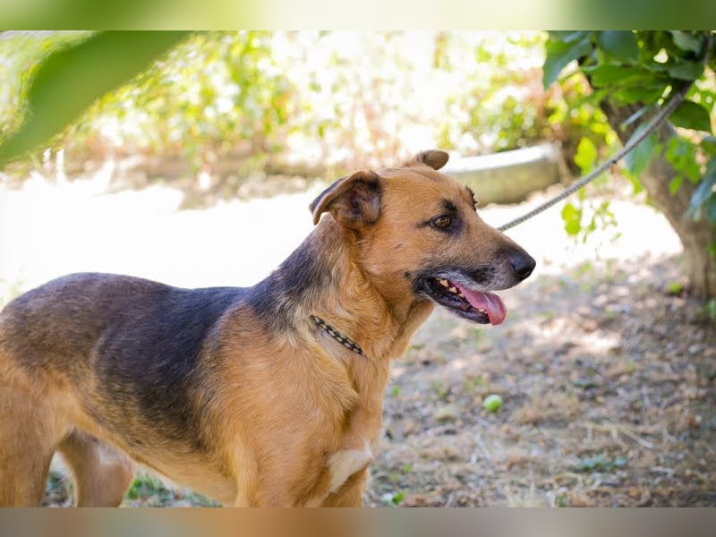 Kastner: Naturfreund mit Köpfchen