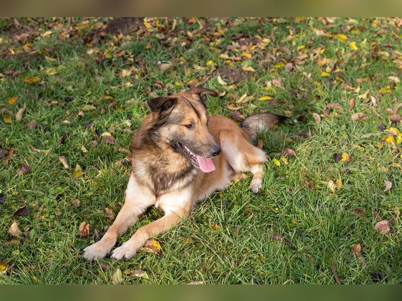 Alex – möchte voll durchstarten