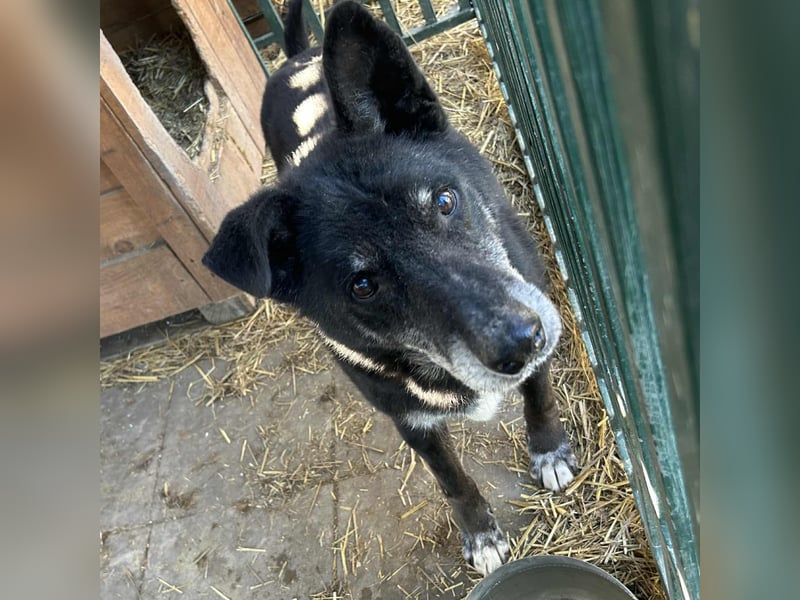 Miky: Sucht dich!
