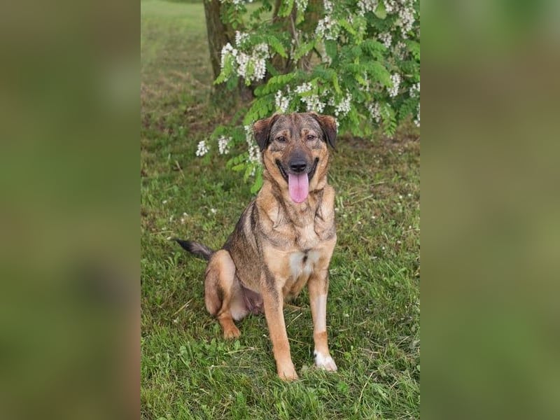 Smiley: Voller Liebe und Hoffnung