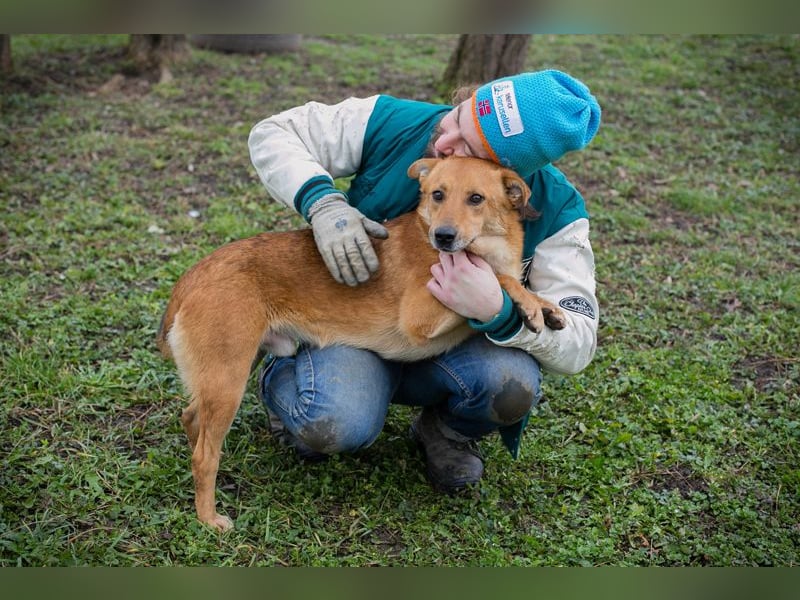 Odin sucht ein Zuhause