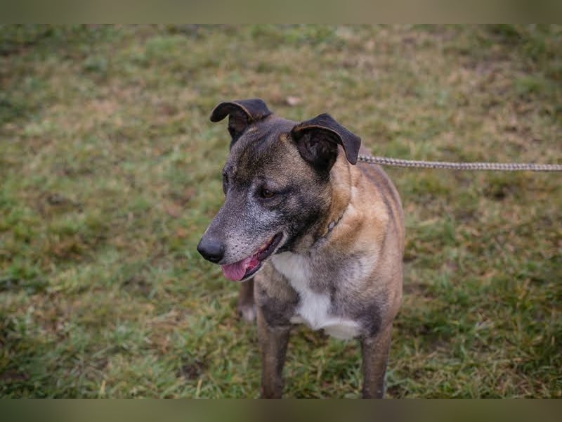 Grisu: Warum sieht ihn niemand?