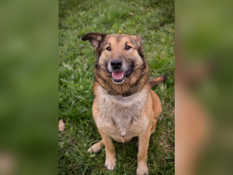 Alex – möchte voll durchstarten