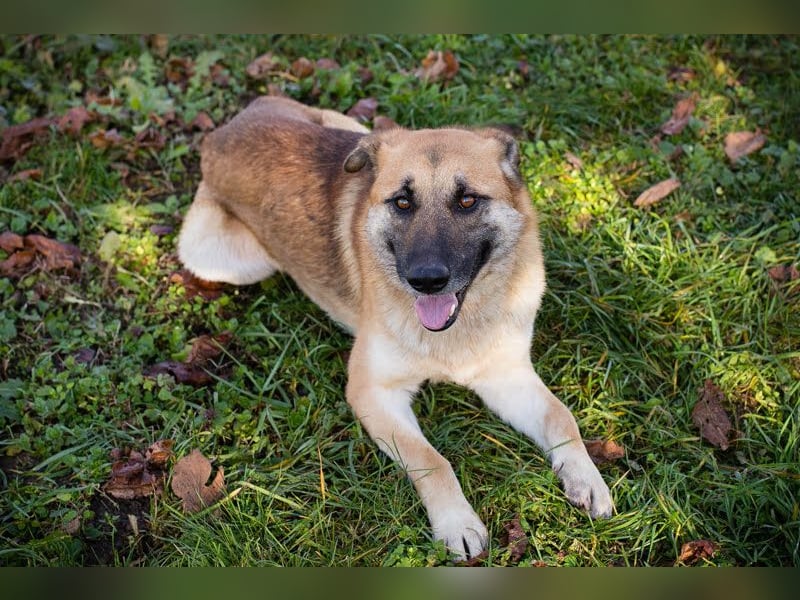 Marty sucht seine Menschen