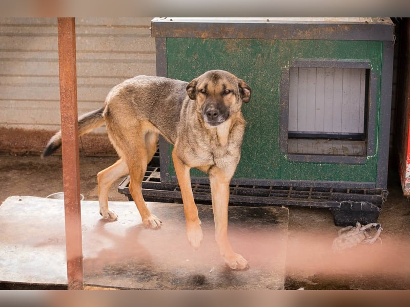 Marlee: Lebensfreude sucht Zuhause