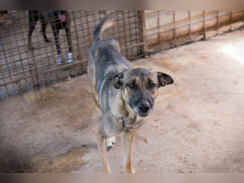 Marlee: Lebensfreude sucht Zuhause