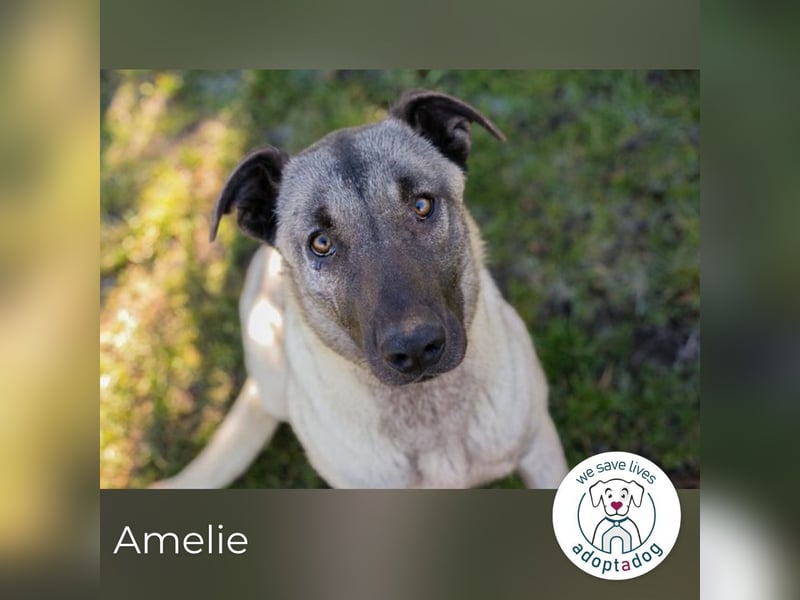 Amelie: Sanftmut trotz Schmerz