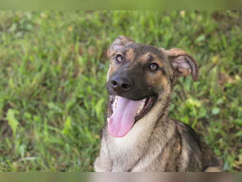 Marlee: Lebensfreude sucht Zuhause