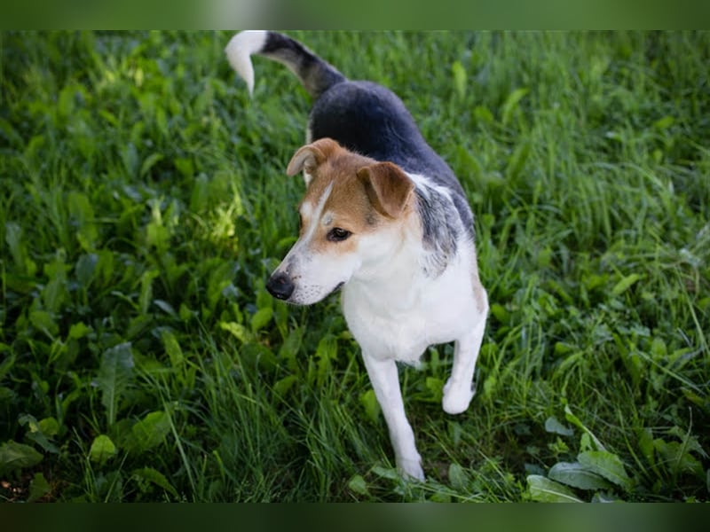 Julie – ein Goldschatz