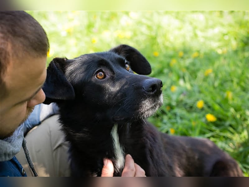 Benek: Träumt von einem Zuhause