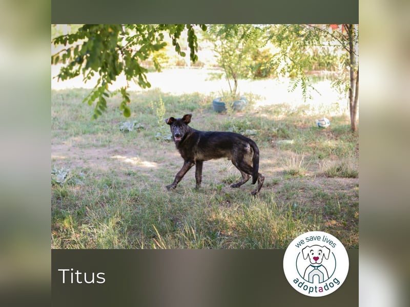 Titus: Bereit für einen Neuanfang