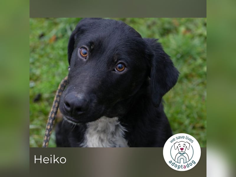 Heiko: Sucht Liebe und schenkt Freude