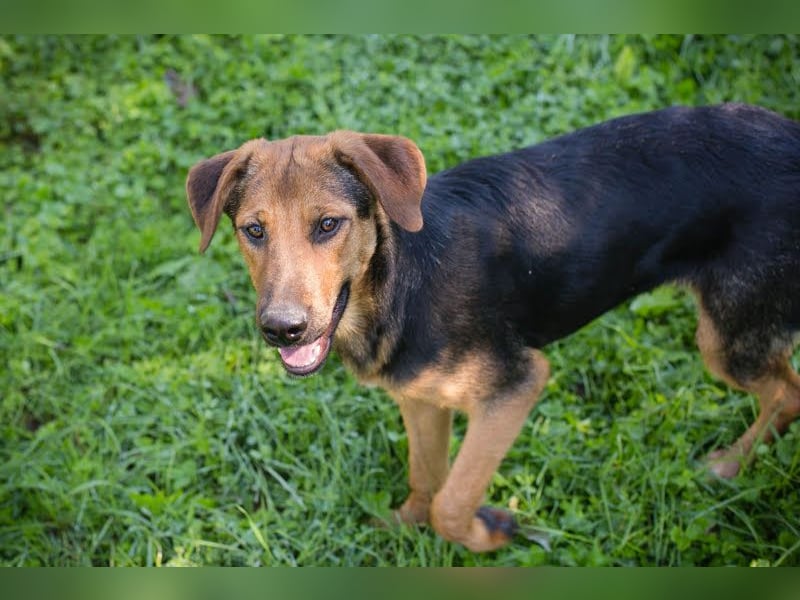 Akascha: Möchte endlich nach Hause!