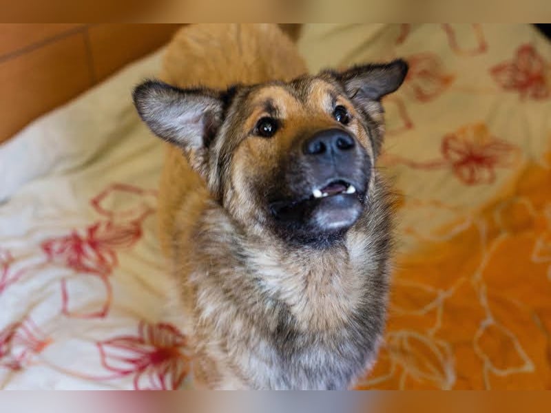 Alex – möchte voll durchstarten