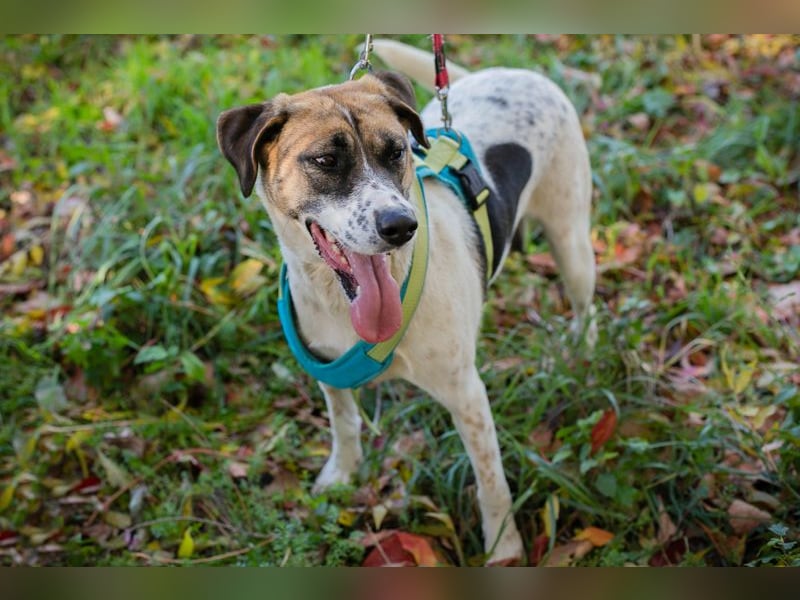 Nada: ein Name, der Hoffnung trägt