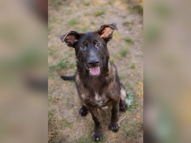 Titus: Bereit für einen Neuanfang