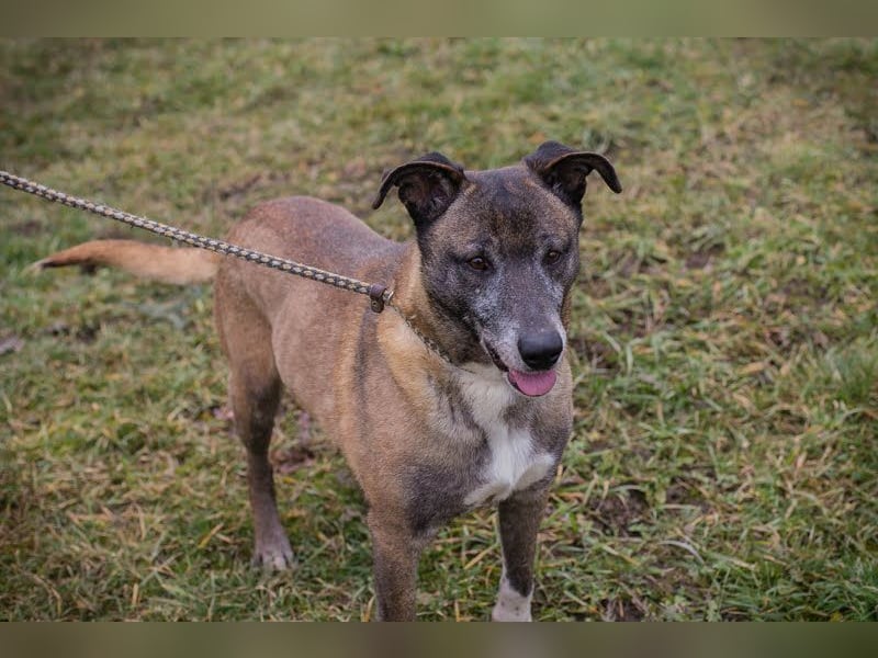 Grisu: Warum sieht ihn niemand?