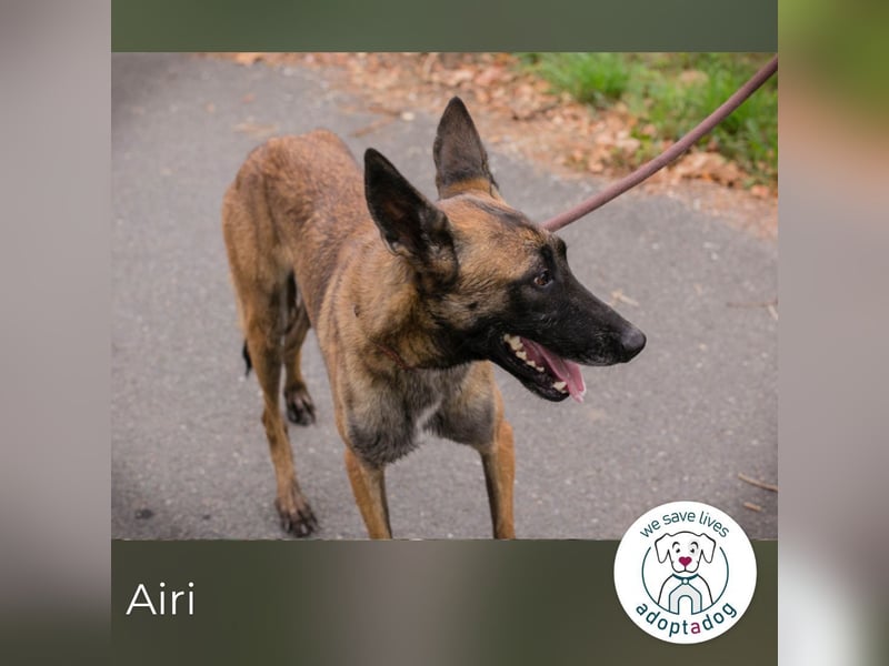 Airi: Sucht ein Zuhause